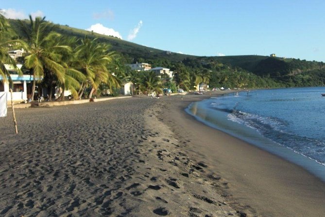 Captains Most Popular Snorkeling and Beach Day With Lunch - Accessibility and Service Animals