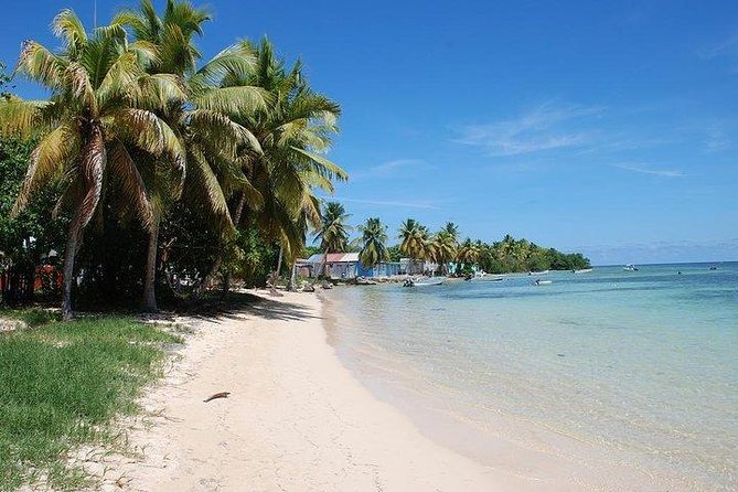 Captains Most Popular Snorkeling and Beach Day With Lunch - Snorkeling at Champagne Reef