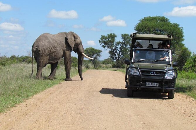 Captivating 2 Day Kruger Safari From Johannesburg - Transportation and Transfers