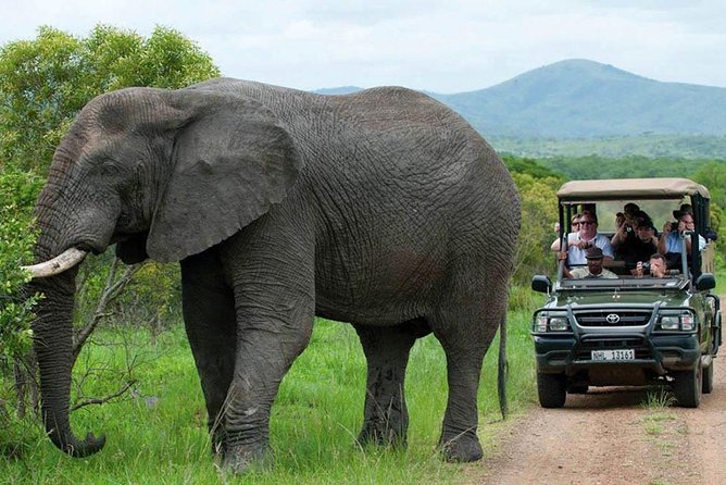 Captivating 3 Day Kruger Safari Adventure From Johannesburg - Savoring Delectable Meals on Safari
