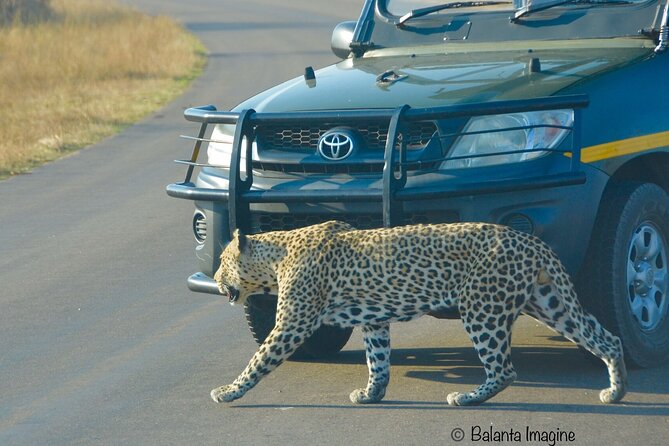 Captivating 3 Day Kruger Safari Adventure From Johannesburg - Convenient Pickup and Departure