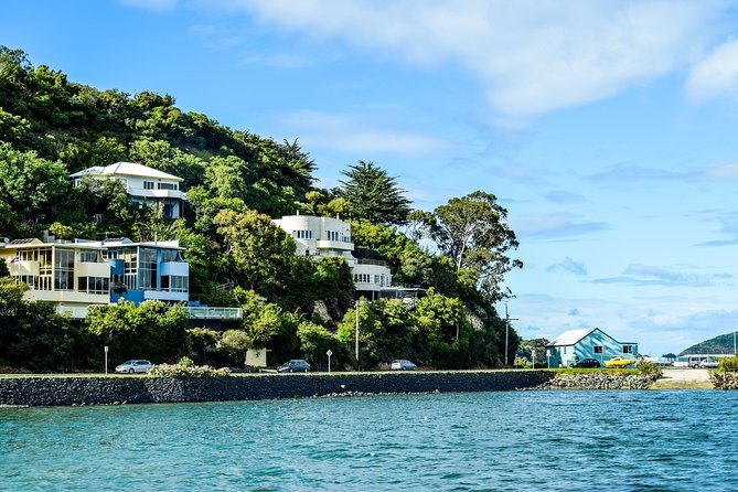 Captivating Side of Dunedin Walking Tour for Couples - Inclusions