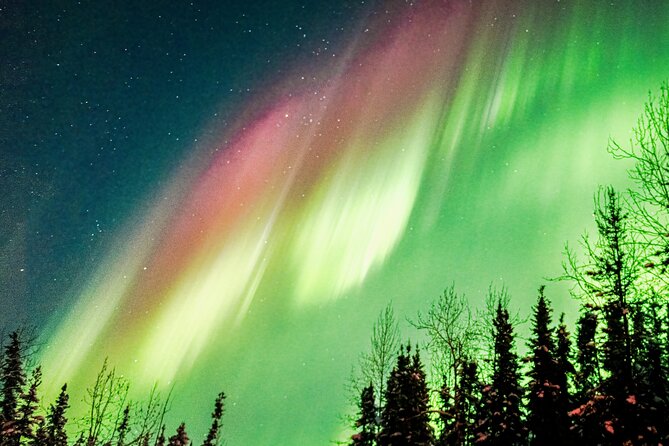 Capturing the Ethereal Beauty: Northern Lights Photo Workshop - Accessibility and Participation