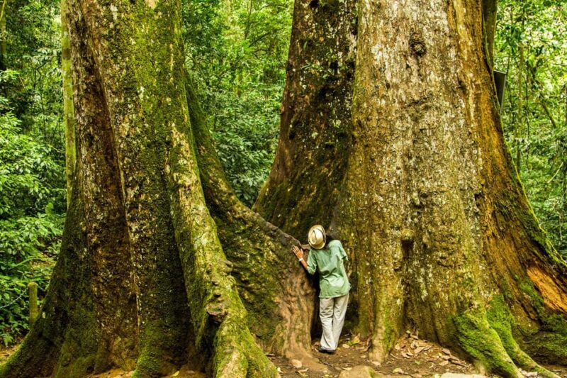 Car Hire & Driver: Cuc Phuong National Park From Ha Noi - Pricing and Cancellation