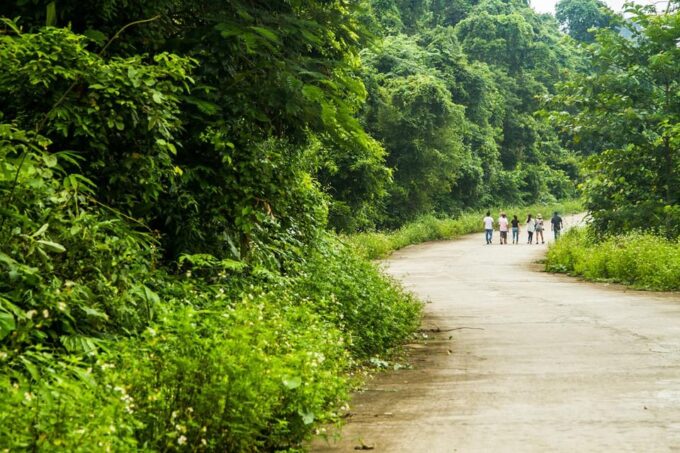 Car Hire & Driver: Cuc Phuong National Park From Ha Noi - Additional Details