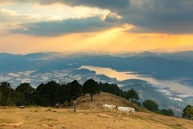 Car Hire & Driver: Liang Biang - Linh Phuoc From Da Lat City - Vehicle Options