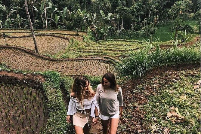 Car Hire in Lombok (Include Driver, Car, & Fuel) - Exploring Lombok: What This Tour Offers