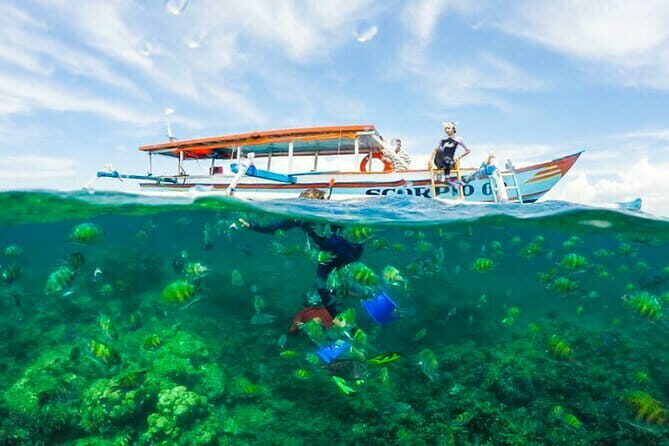 Car Hire in Lombok (Include Driver, Car, & Fuel) - Considerations and Tips
