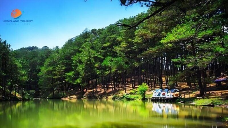 Car Rental Service in Dalat ( Private With Driver ) - Offered Activities in Dalat