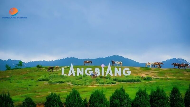 Car Rental Service in Dalat ( Private With Driver ) - Rental Duration and Inclusions