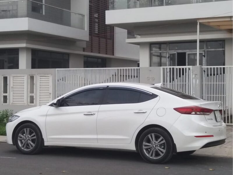 Car Rental With Driver in Da Nang (4 Hours) - Professional Driver Support