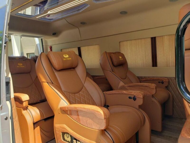 Car Rental With Driver in Ho Chi Minh (4 Hours) - Inclusions