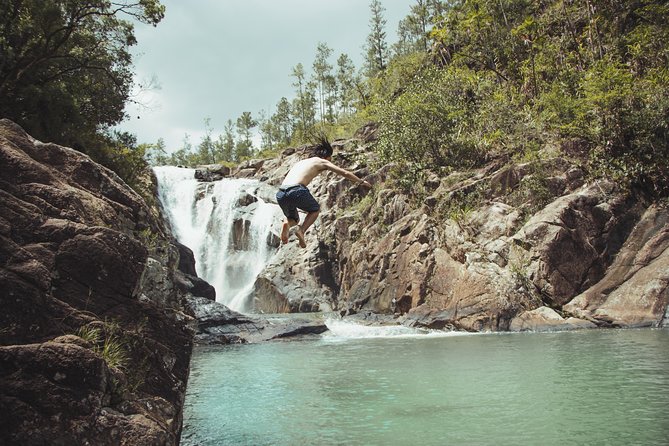 Caracol Day Trip & Mountain Pine Ridge From San Ignacio - Guided Tour With Expert Guides