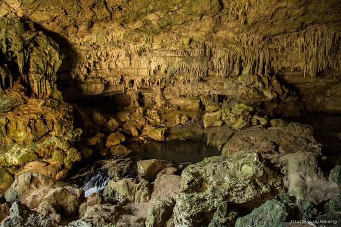 Caracol Maya Ruins Tour Including Rio On Pools, Rio Frio Cave and a Picnic Lunch - Picnic Lunch and Rum Punch