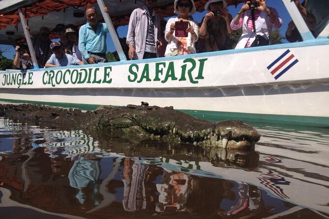 Carara National Park and Crocodile River Cruise - Tarcoles River Cruise Experience