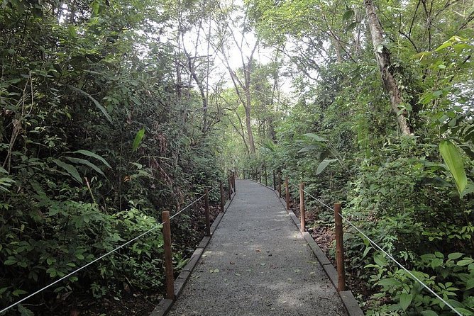 Carara National Park and Crocodile River Cruise - Key Points