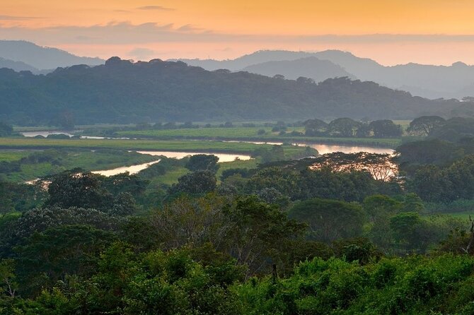 Carara National Park and Crocodile River Cruise - Tour Reviews and Ratings