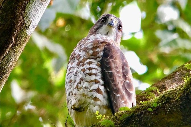 Carara National Park Birdwatching Private Guided Tour Experience. - Booking and Cancellation Policy