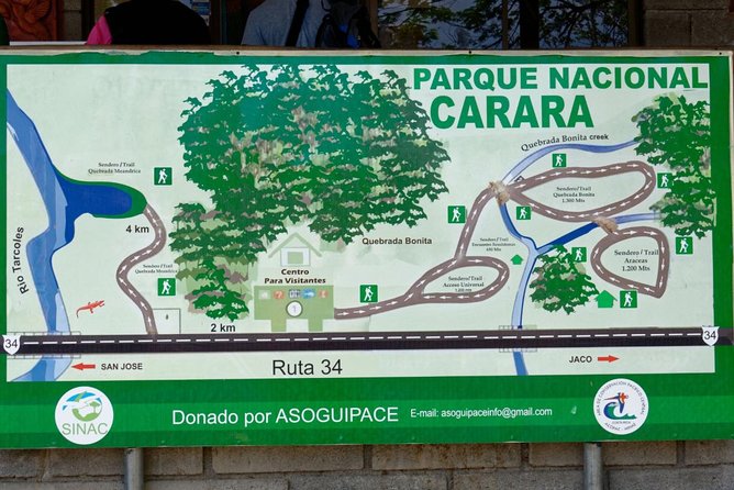 Carara National Park Birdwatching Private Guided Tour Experience. - Responsible Wildlife Viewing