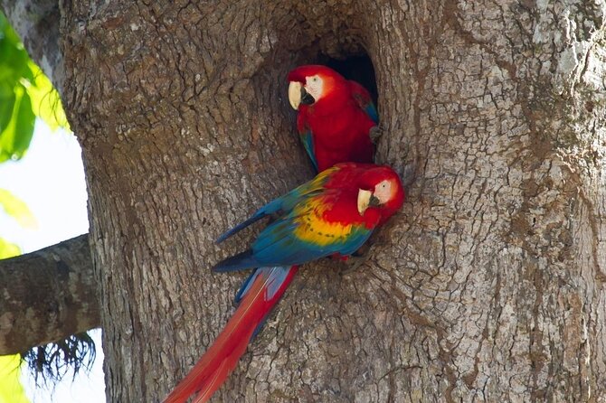 Carara National Park - Guest Feedback and Ratings