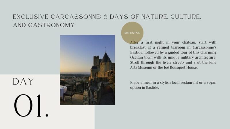 Carcassone: Exclusive 6 Days All-Inclusive Premium Program - Accommodations and Services