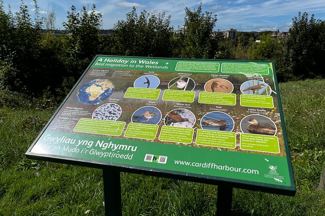 Cardiff Bay Private Self-Guided Tour - Reviews