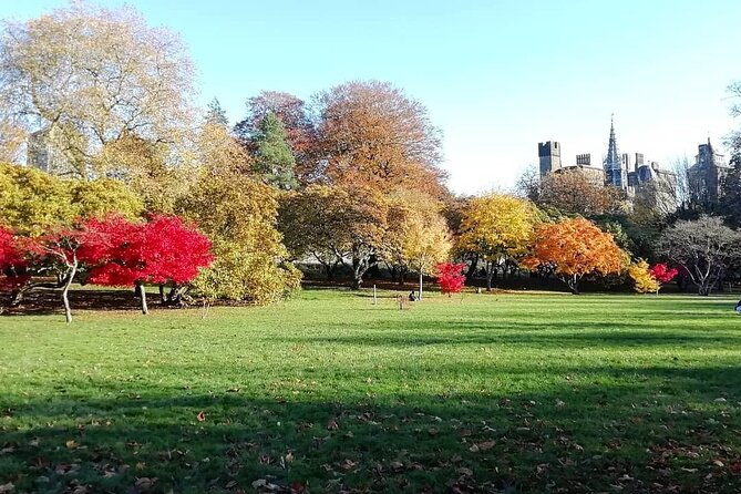 Cardiff City Private Guided Walking Tour - Tour Reviews