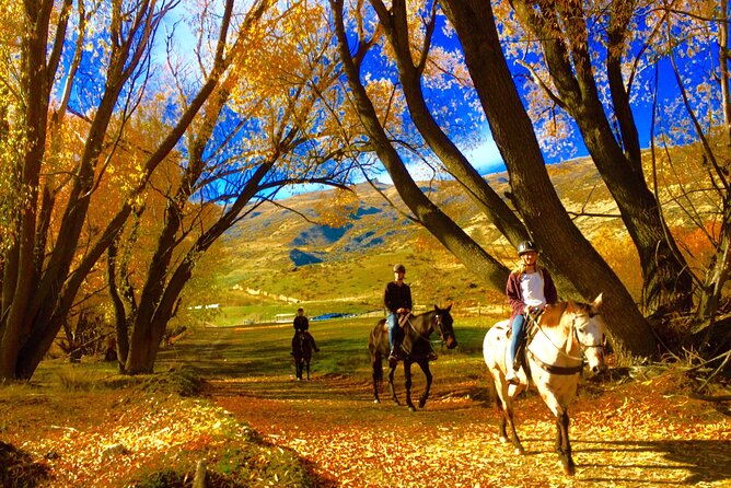 Cardrona Gold Discovery Trail Horse Trek(Beginner/Child Friendly) - Booking and Cancellation