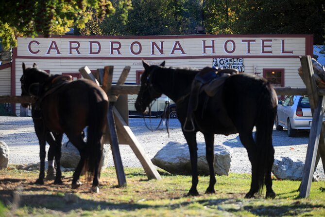 Cardrona High Country Pub Trail Horse Riding Trek (Adventurous) - Included Amenities and Souvenirs