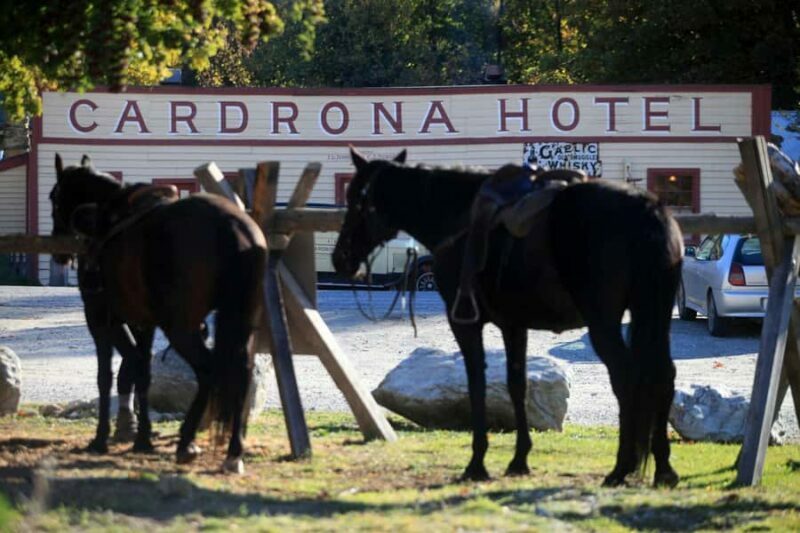 Cardrona Valley: Horse Trekking Experience - Key Points