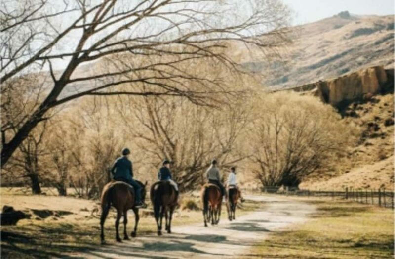 Cardrona Valley: Horse Trekking Experience - Who Is This Tour Best For?