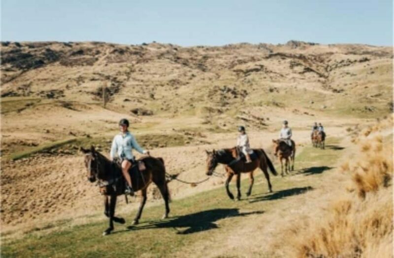 Cardrona Valley: Horse Trekking Experience - Pricing and Value