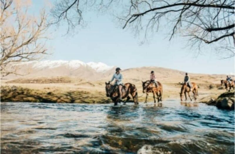Cardrona Valley: Horse Trekking Experience - Final Thoughts