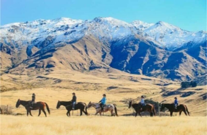Cardrona Valley: Horse Trekking Experience - FAQ: Frequently Asked Questions