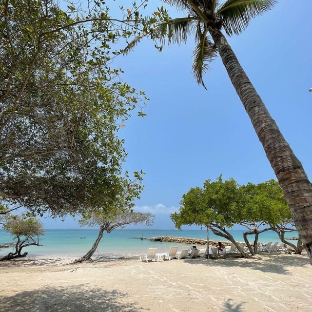 Carey Beach Tour Cartagena - Accessibility Considerations