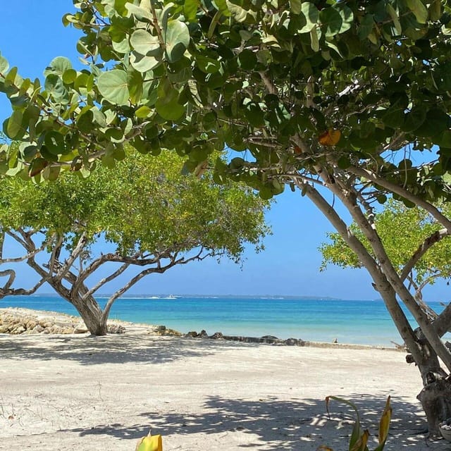 Carey Beach Tour Cartagena - Recap