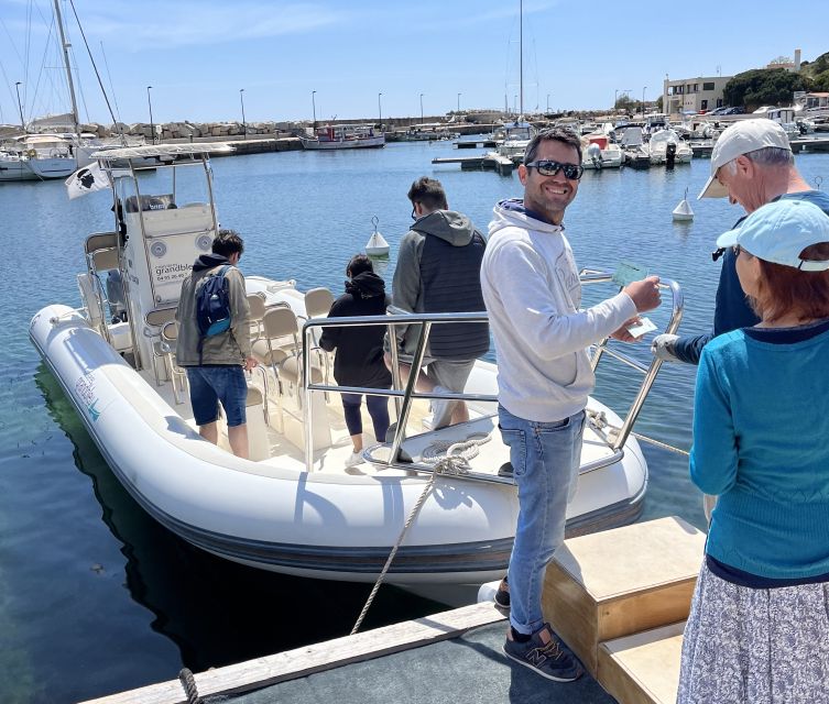 Cargèse: Calanques of Piana Capo Rosso Semi-Rigid Boat Tour - Customer Reviews