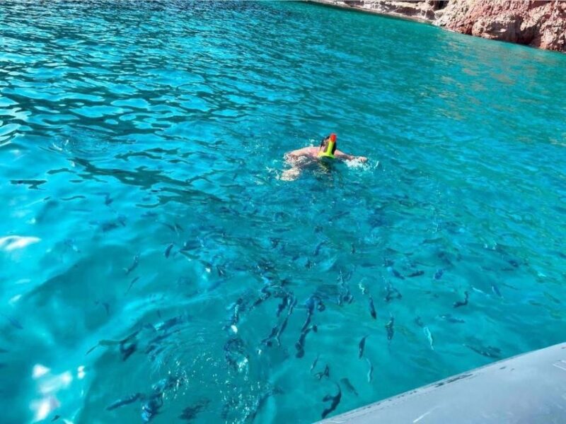 Cargèse: Capo Rosso Snorkeling and Sea Cave Tour - Observing the Underwater Cascades and Marine Predators