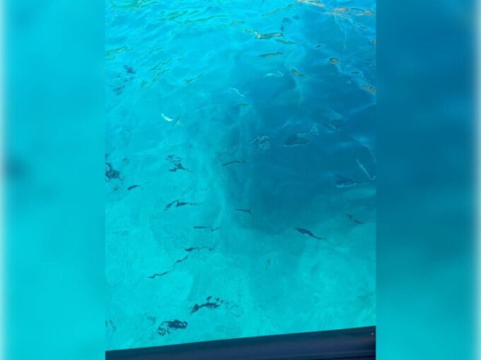 Cargèse: Capo Rosso Snorkeling and Sea Cave Tour - Frequently Asked Questions