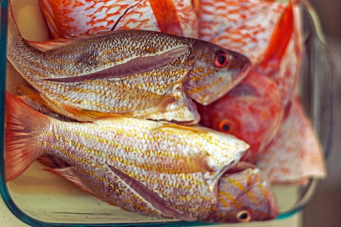Caribbean Cuisine Cooking Class - Highlights of the Sample Menu