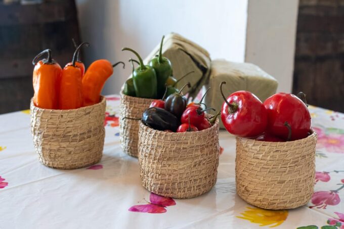 Caribbean Hot Sauces and Empanadas Tasting - Group Size and Languages