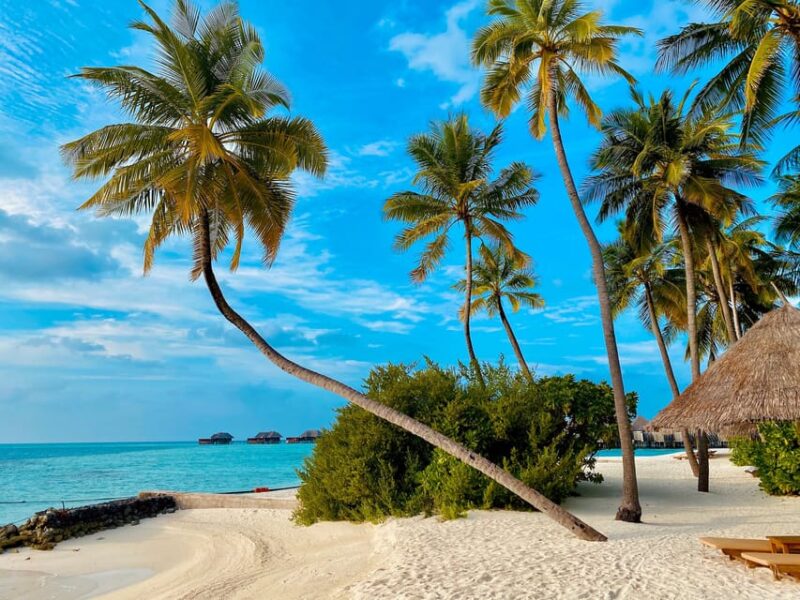 Caribbean Paradise: Explore the Magic of Saona Island - Itinerary Details