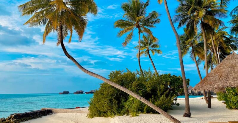 Caribbean Paradise: Explore the Magic of Saona Island - Inclusions