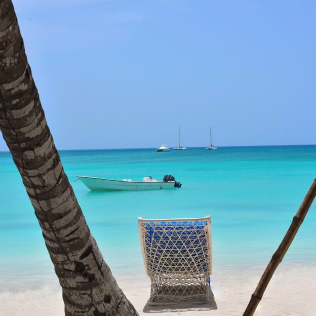 Caribbean Paradise: Explore the Magic of Saona Island - Customer Experience