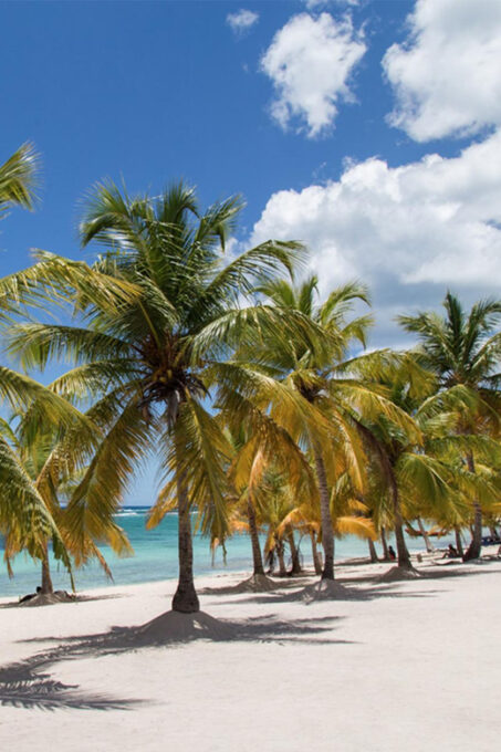 Caribbean Paradise: Explore the Magic of Saona Island - Exploring Saona Islands Natural Wonders