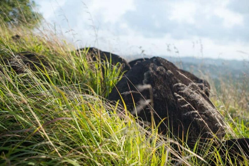 Caribbean Stonehenge - Hike on Green Castle Hill, Antigua. - What Past Travelers Say