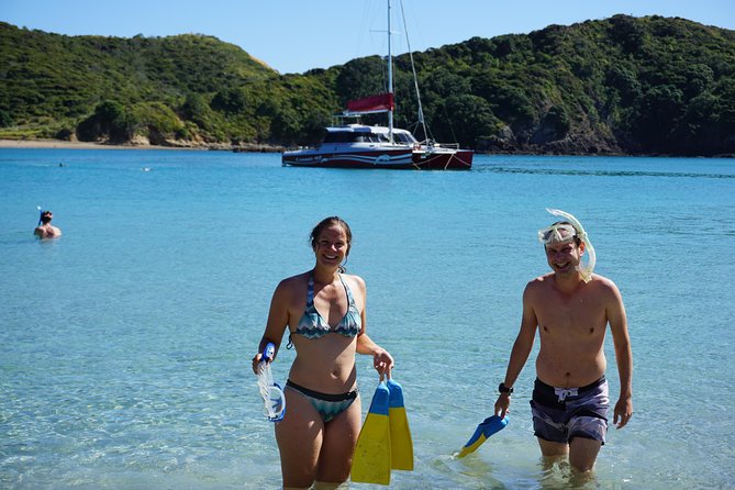 Carino Wildlife Cruises - Island and Wildlife Day Cruise - Scenic Bay of Islands