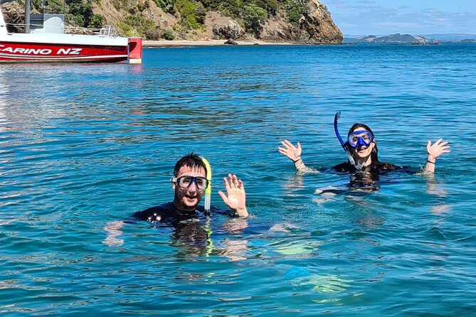 Carino Wildlife Cruises - Island and Wildlife Day Cruise - Wildlife Cruising Experience