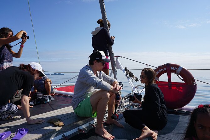 Carino Wildlife Cruises - Island and Wildlife Day Cruise - Smaller Group Adventure