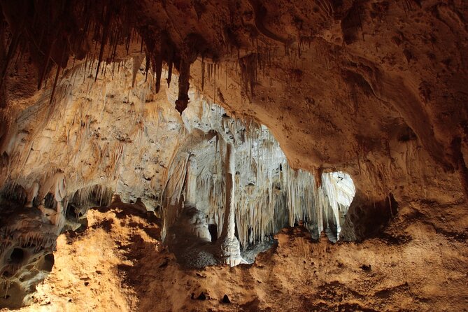 Carlsbad Caverns Self-Guided Walking Tour (Not a Ticket) - Tour App Instructions